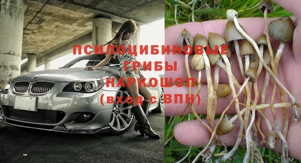 мяу мяу мука Балахна